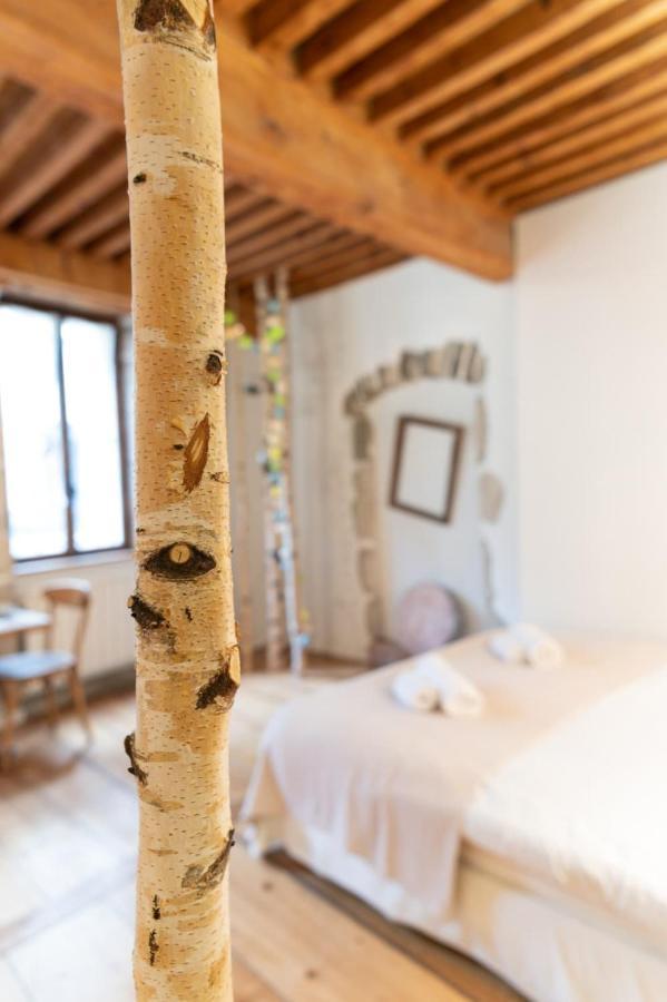 La Cour Filaterie - Suite Of 30 Sq M In The Annecy Breakfast Included Exteriör bild